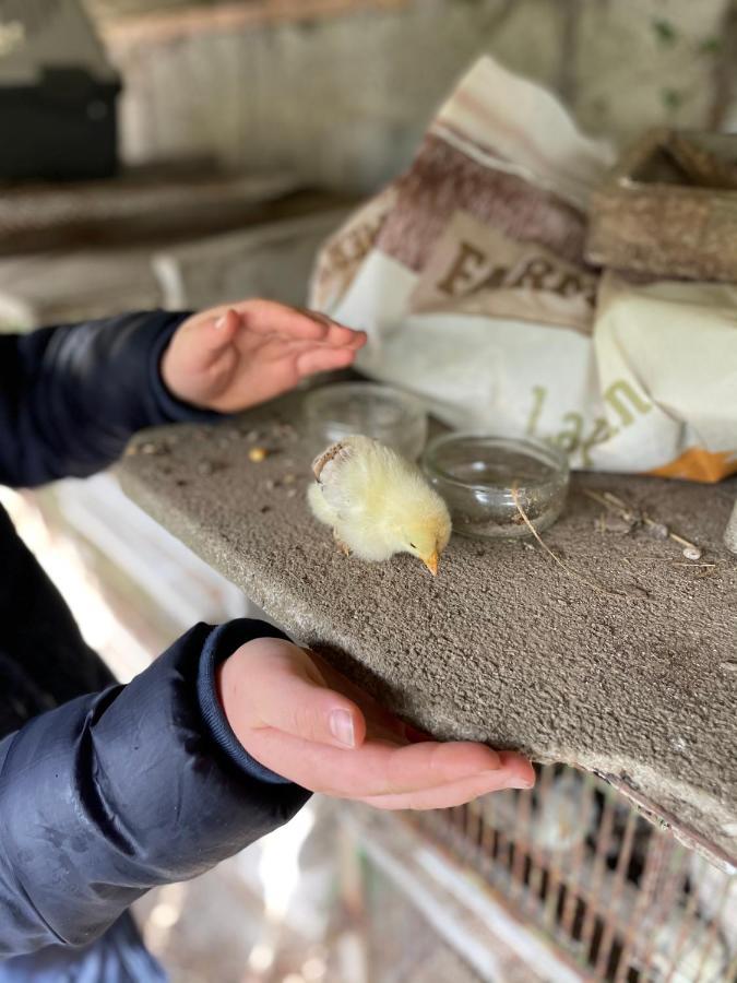 Terra-Tipike, Tipi A La Ferme Entre Terre Et Mer Trebry Bagian luar foto